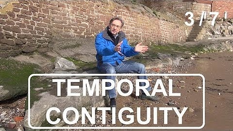 Beach Walk Insights - Temporal Contiguity