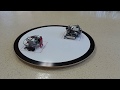 Sumo Bot Battle (Part 7)