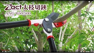 【三陽金属】ZACT太枝切鋏　ANG-650/500 #剪定 #ガーデニング