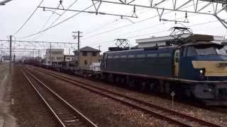 EF66-36牽引 1097レ札幌タ〜名古屋タ) 高塚駅通過