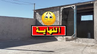 نهاية تربية الدجاج على سطح المزل ⛔ لماذا قررت التوقف عن تربية الدجاج فوق السطح؟ ?