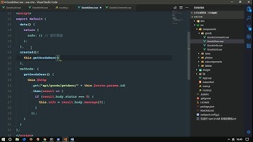 vue js 入门与实战 十一天课程day10 10 项目 实现商品详情中的图文介绍和评论页面渲染