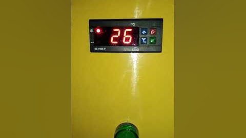 1+3 Bottling Plant PLC Software machine Chacking video serial number 135