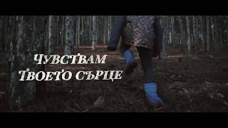 :   -     - TEASER