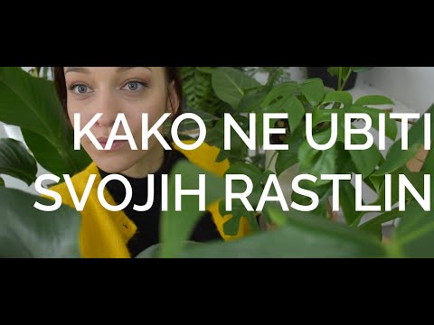 Video: Nasveti za nego in nego sobnih rastlin