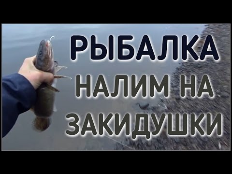 ловля налима на угре