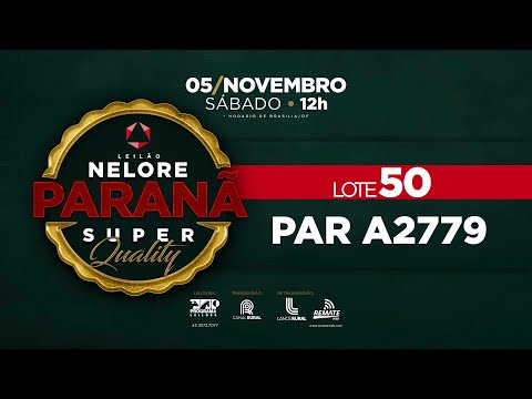 LOTE 50 PAR A2779