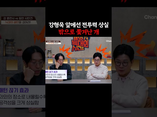 전투력 상실한 개의 표정 #개늑시2 #개와늑대의시간2
