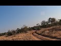 2025 7 24 AM Ngala Elephants On Road GP 2025 7 24 AM Ngala Elephants On Road GP