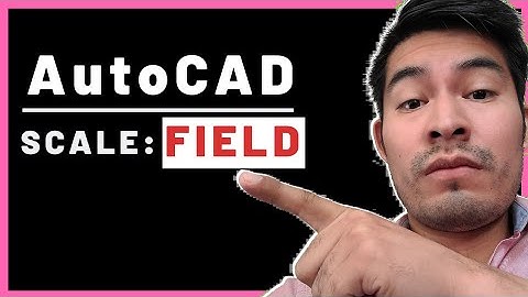 AUTOCAD FIELD for VIEWPORT SCALE