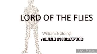 Lord of the files - Chapter 1 The Sound of the Shell. ( Summary)