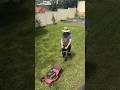 Mowing the Grass #mowing #grass #cleaning
