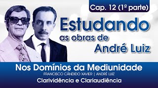 Estudo do livro Nos Domínios da Mediunidade - 12º Cap. / 1ª parte - Clarividência e clariaudiência