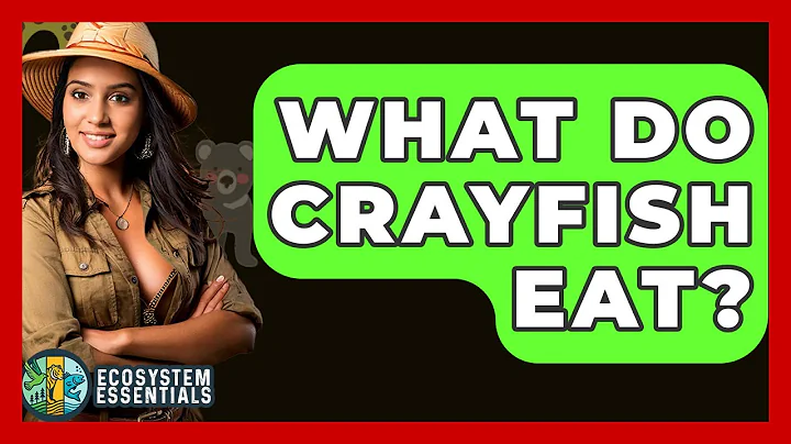 What Do Crayfish Eat? - Ecosystem Essentials