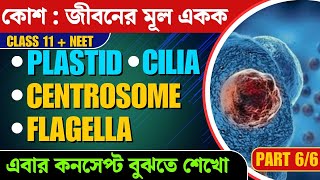 Cell Part 6/6 | প্লাষ্টিড | centrosome | cilia |Flagella | Microfilament | class 11 and NEET biology