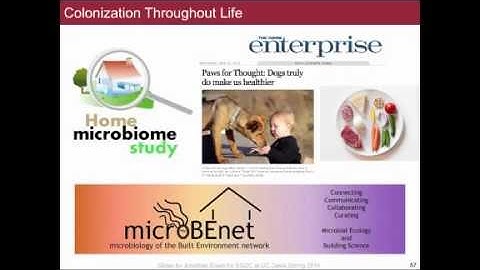 Lecture 11 SectionB BIS2C UC Davis Spring 2014 Jonathan Eisen