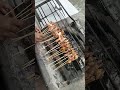 Sate Biawak