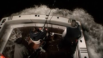 2008 JR Pacific Bluefin tuna IGFA Record