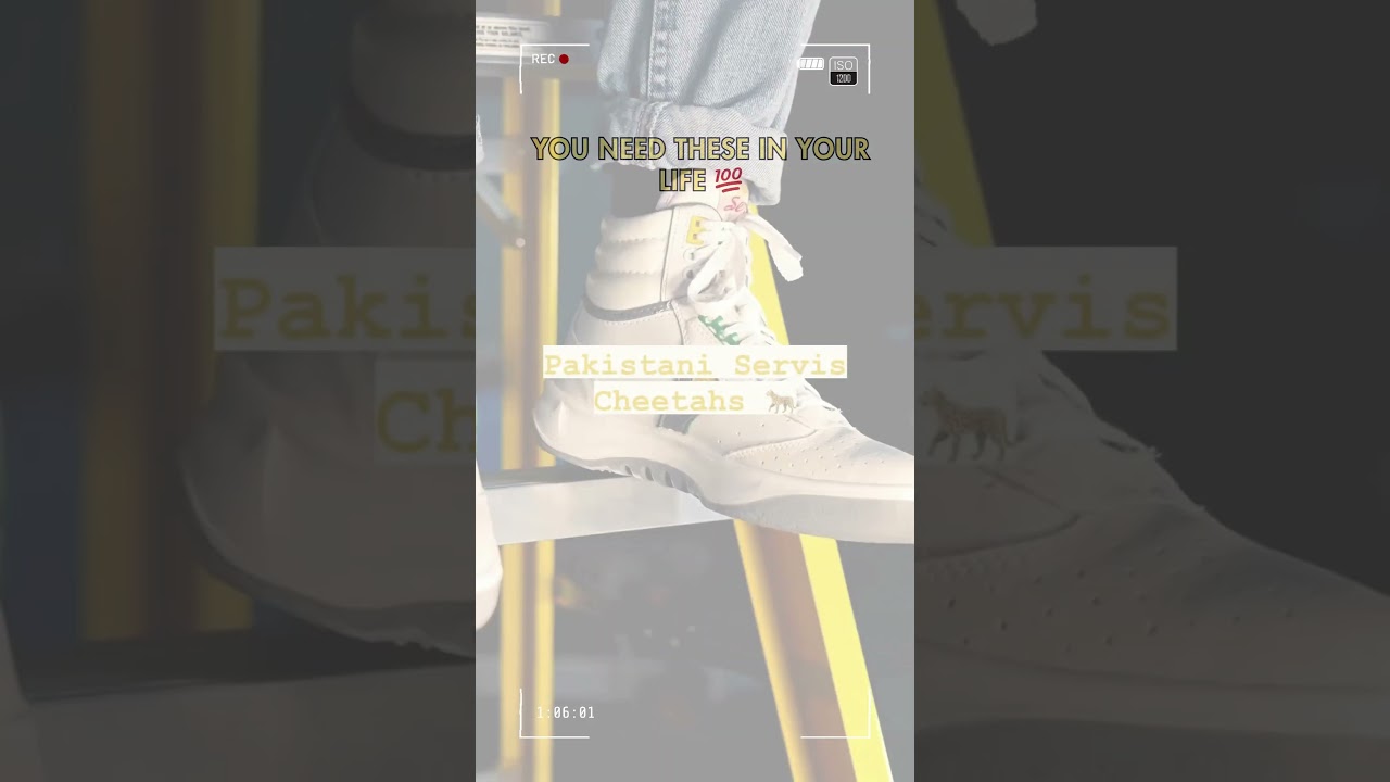 Cheetah Joggers | Servis Cheetah | Service Cheetah Shoes | ZEWAH.COM 