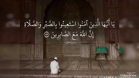 ماتيسر من سورة البقرة الشيخ انور علي طه (ابو حفص)