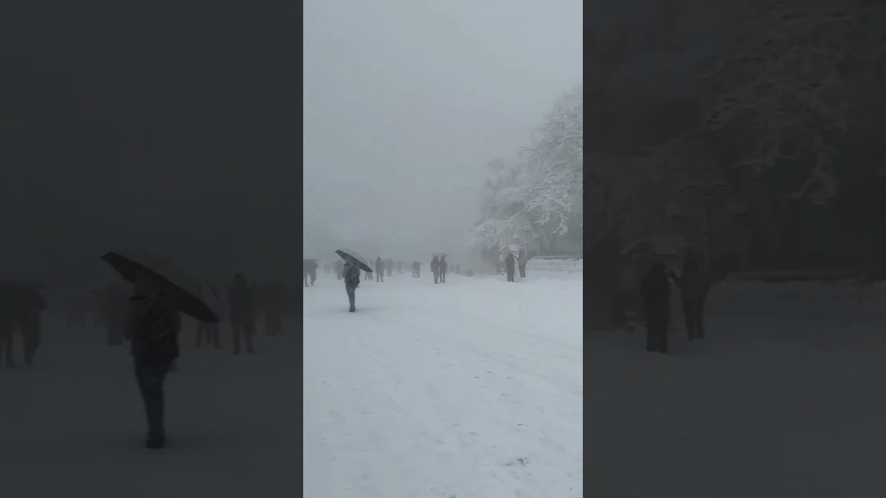 Shimla snow fall II The ridge Maidan Shimla II The Hidden Himachal II  short  shorts