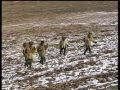 صيد الصقور في الصين صيد الصقور في الصين