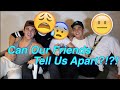 Our Best Friends Try To Tell Us Apart!!!!!