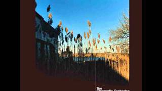 Cinematic Orchestra - How to Build a Home - [Ma Fleur]