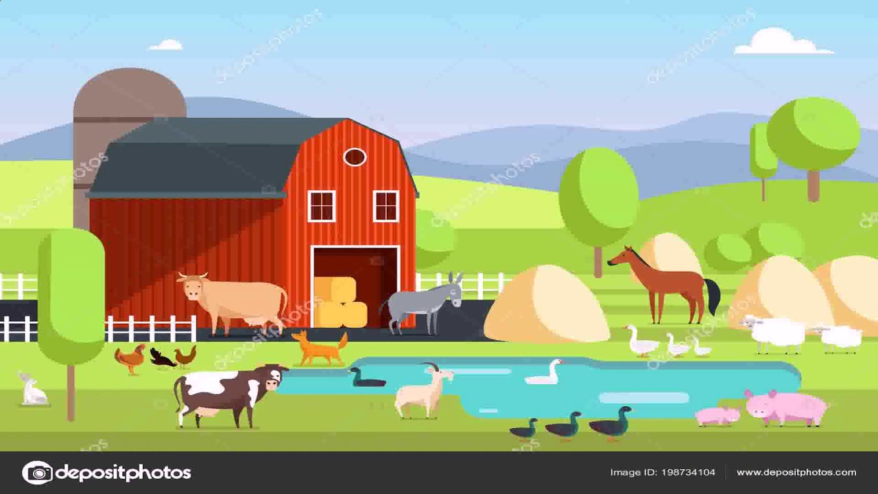 Building A Ranch House - YouTube