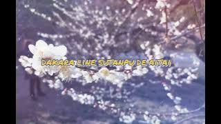 I Love You - Kevin Rater ft [Remix 8man (Jap/Kor)] with Lyrics