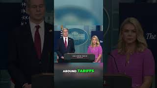 Trump's Tariffs: Economic FREEZE? Experts Warn of DAMAGE