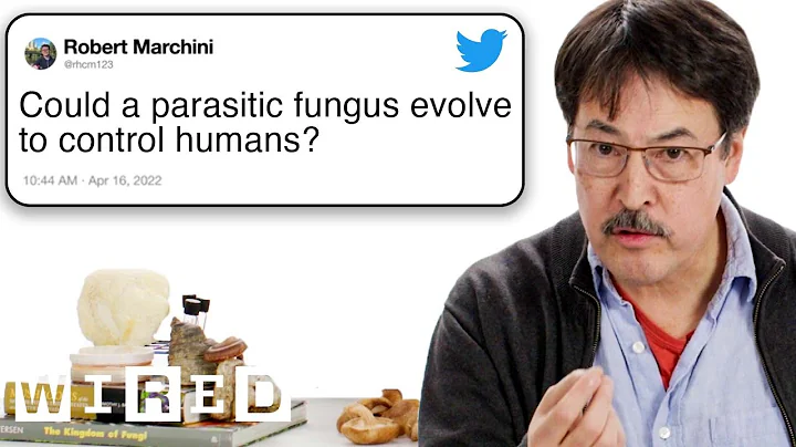 Mycologist Answers Mushroom Questions From Twitter 🍄 | Tech Support | WIRED - DayDayNews