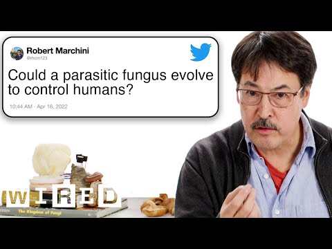 Mycologist Answers Mushroom Questions From Twitter | Tech Support | WIRED