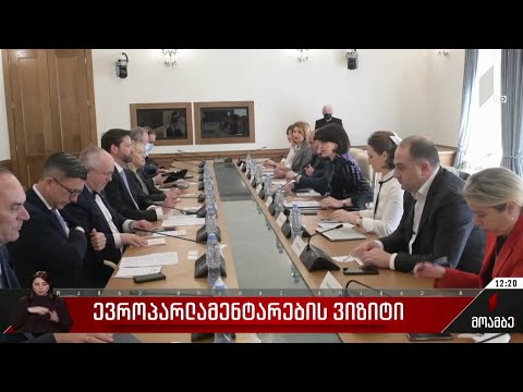 ევროპარლამენტარების ვიზიტი