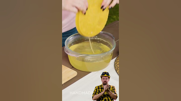 Butch REACT to DIY CACTUS Hacks!