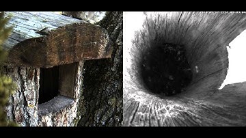 vlc record 2014 05 16 21h13m25s vlc record 2014 05 16 17h43m39s rtsp   193 40 133 138 live kakk  mp4