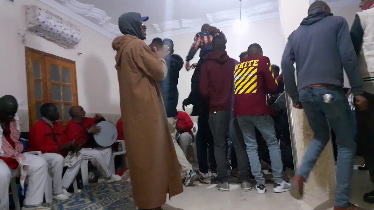 ⚫ مزود العربي أوكالا _ عند العرسان مصطفي وعلي لفامي • صولة .