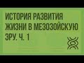 История развития жизни в мезозойскую эру. Ч. 1. Видеоурок по биологии 11 класс