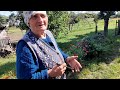 Украинское село 🌻Как поживает баба Оля