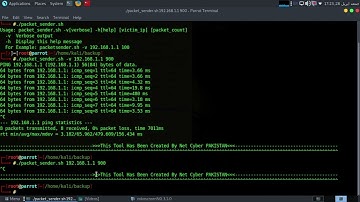 Mastering Packet Injection: Boost Your Network Knowledge with Packet Sender | SahiwalMemer