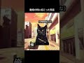 最近の流行りで人生を再現してみた 9 #猫 #猫ミーム #かわいい猫 #ミーム #令和の虎 #離婚 #結婚 #浮気 #怪談 #実話 #実話怪談 #伸びろ #社会人