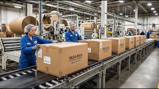 How 500 Billion Cardboard Boxes Are Made — The Machine Running Faster Than You Can Blink