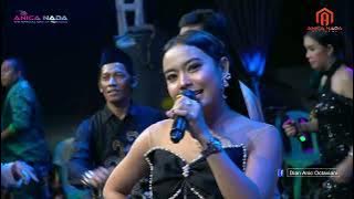 BANDAR JUDI - MAUDYANSYAH | ANICA NADA 26 JUNI 2025 | DUKUH JERUK | BANJARHARJO | BREBES