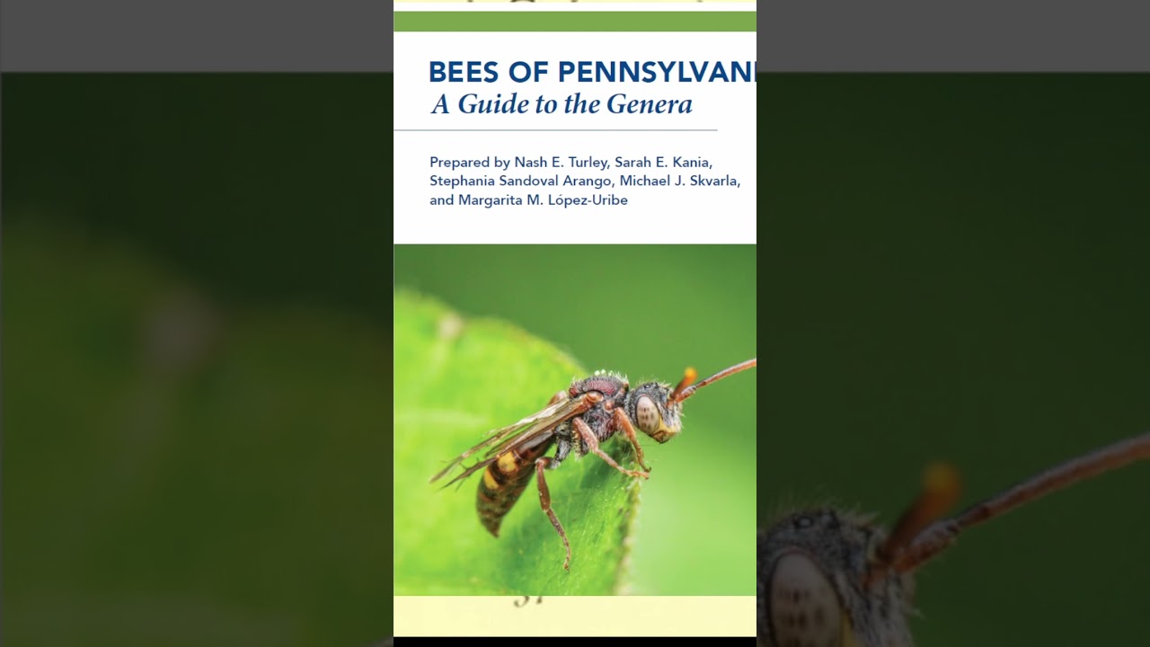 Free New Book - Bee Field Guide From Penn State - short