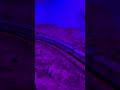 N Scale Southwest Chief with the Amtrak Day One Charger