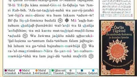 ختمة من مصحف التجويد باللغة الألمانية الصفحة رقم 299