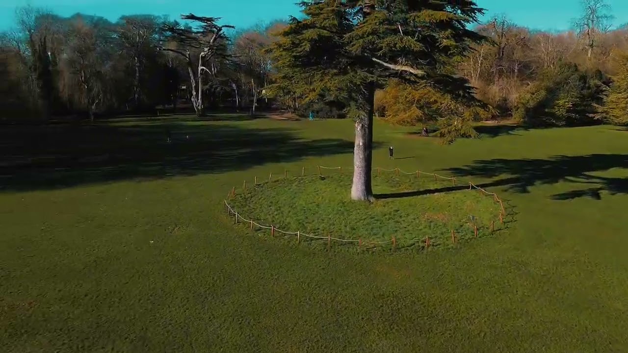 Lydiard Park #swindon #lydiardpark #wiltshire #drone 