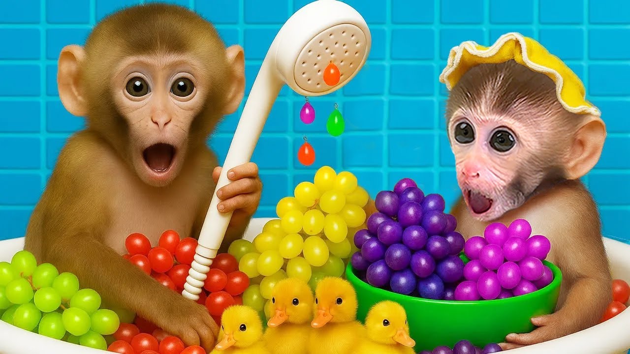 Este babuino bebé ha sido bautizado como Nisan. El pequeño primate llegó al  mundo en el mes de abril y afortunadamente fue acogido por los seres  humanos luego de ser abandonado por, image size:1280x720