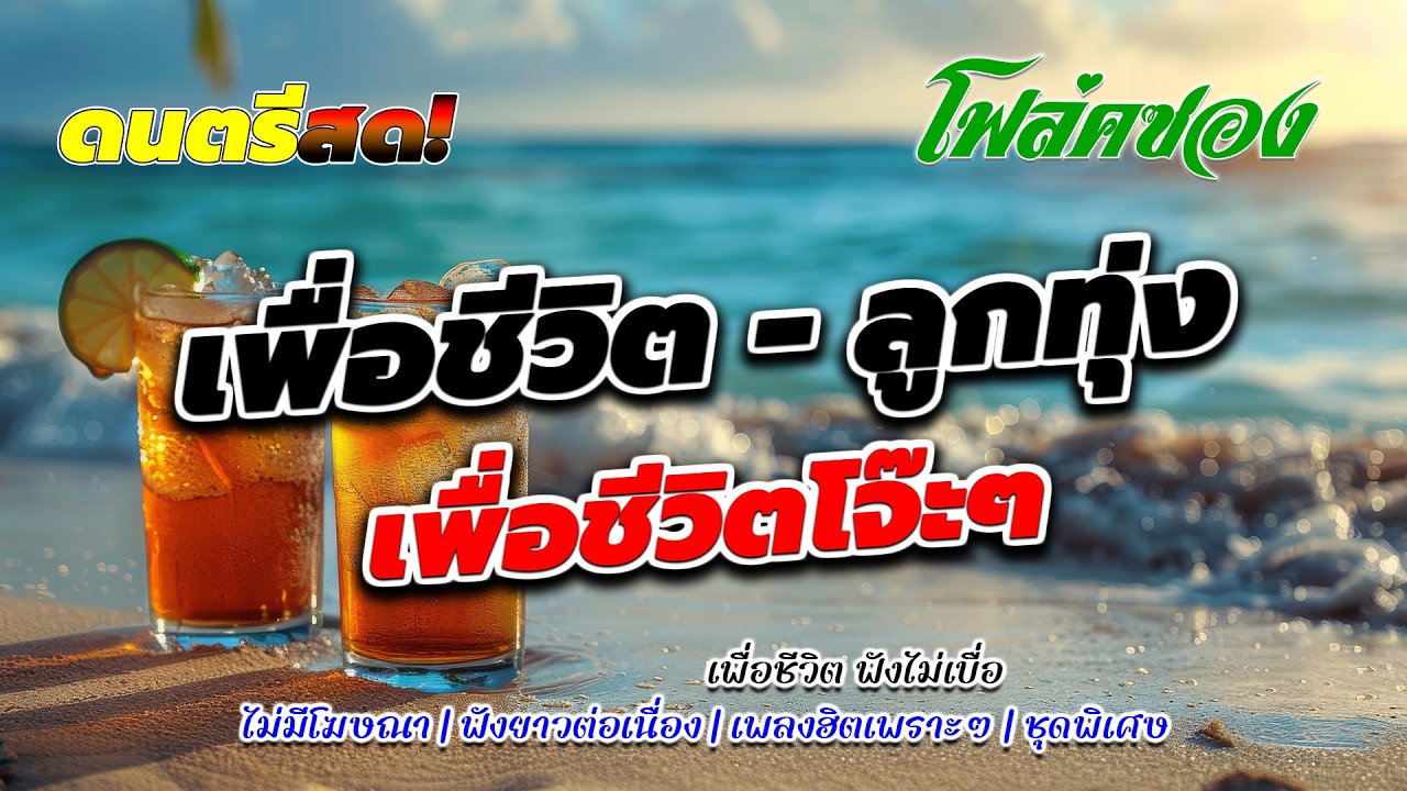 ดนตรีสดร้านเหล้า เพื่อชีวิตโจ๊ะๆ หมอลำ ลูกทุ่งโคตรเพราะ เหมือนฟังที่ร้าน ฟังยาวๆ เพลงฮิต เอาใจคนฟัง