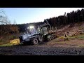 Logset 8F GT • Forwarder • Rückezug • Käferholz 2020 • logging extrem